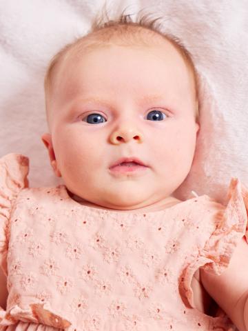 Clementine Birdie Briggs