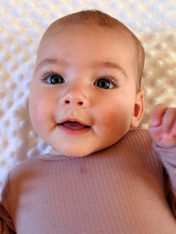 Sienna Sealcoon